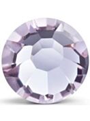 Maxima Rose ss30 Mesmera F