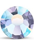 Maxima Rose ss34 Mesmera AB F