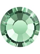 Maxima Rose ss34 Erinite F