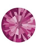 Maxima Chaton pp32 Fuchsia F