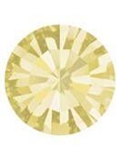 Maxima Chaton pp32 Jonquil F