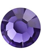 Maxima Rose ss5 Purple Velvet F