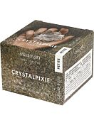 CRYSTAL PIXIE Petite Nagelset Deluxe Rush (10 Gramm)