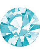 Maxima Chaton pp0 Aqua Bohemica F