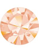 Maxima Chaton pp3 Crystal Apricot