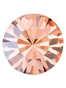 Maxima Chaton pp6 Crystal Apricot