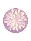 Maxima Chaton pp18 Rose Opal F