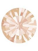 Maxima Chaton pp26 Light Peach F