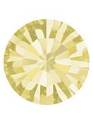 Maxima Chaton pp30 Jonquil F