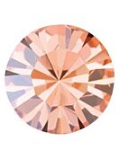 Maxima Chaton pp32 Crystal Apricot