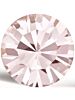 Maxima Chaton pp7 Vintage Rose F